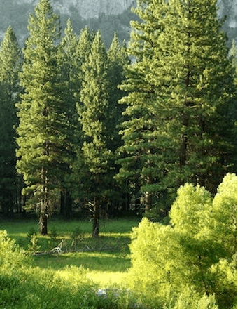 James Robert Ruphard Obituary