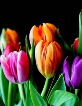 Mary C. Weidemann Obituary