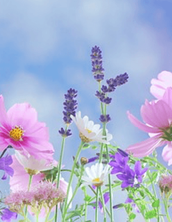 Rita Jean (Schoon) Withrow Obituary